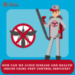 How Can We Avoid Disease and Health Issues Using Pest Control Services?