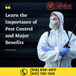Learn the Importance of Pest Control and Major Benefits