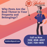 Why Pests Are the Real Threat to Your Property and Belongings?