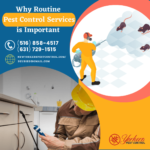 Why Routine Pest Control Services is Important ?